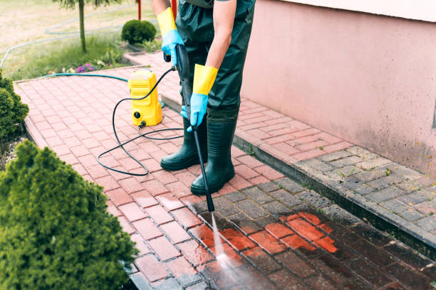 Best Roof Pressure Washing  in Pauls Valley, OK