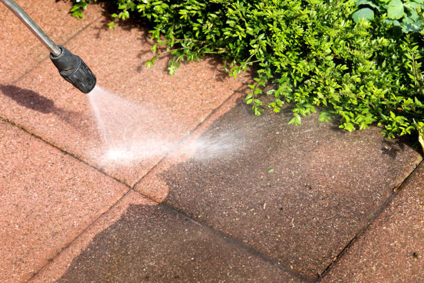 Best Pressure Washing Near Me  in Pauls Valley, OK